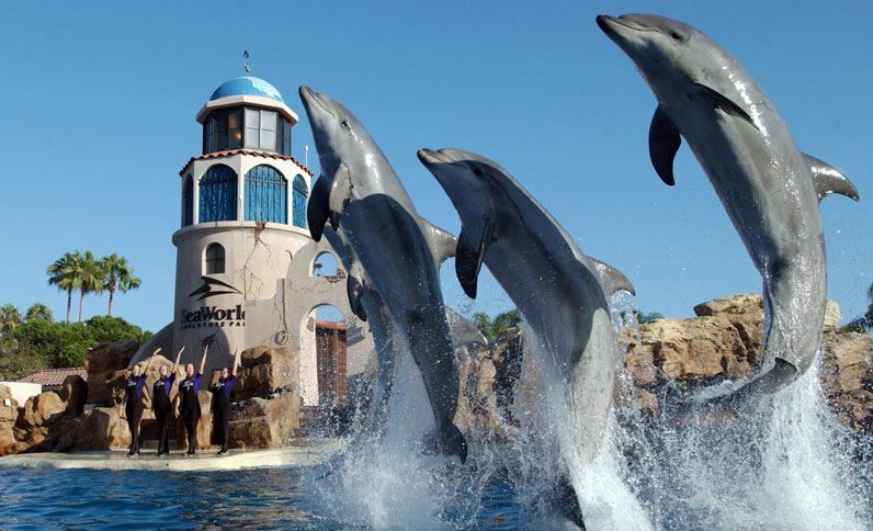 Holiday Inn San Antonio Northwest- Seaworld Area By Ihg Exteriér fotografie